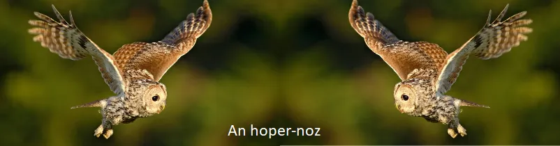 Hoper-Noz
